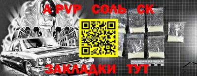 хмурый Кингисепп