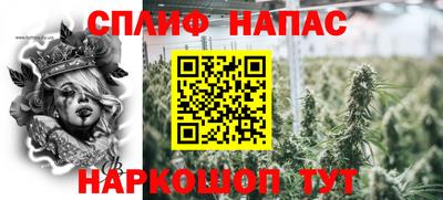 хмурый Кингисепп