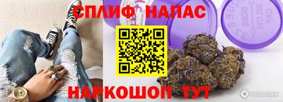хмурый Кингисепп