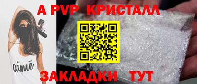 хмурый Кингисепп