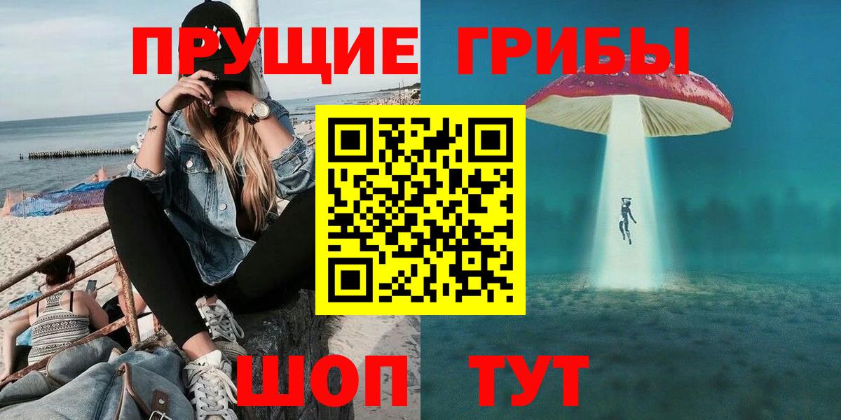 Галлюциногенные грибы прущие грибы Кировск