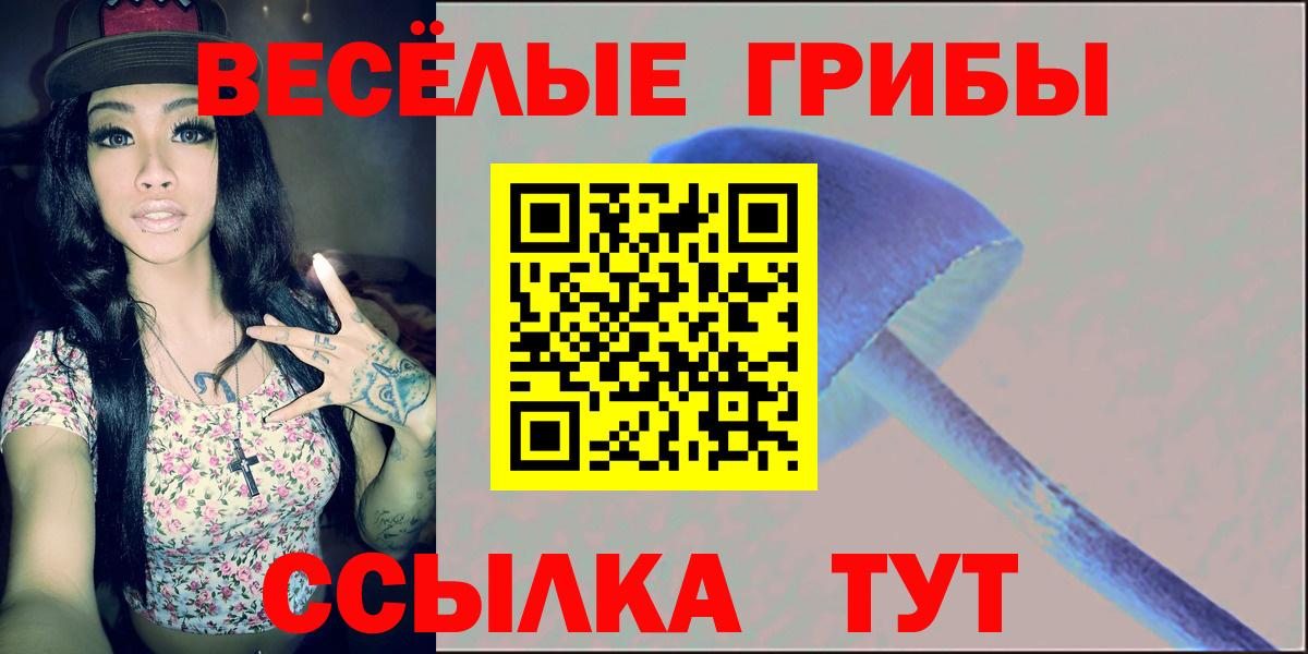 Псилоцибиновые грибы ЛСД  Вход с VPN  Псилоцибиновые грибы прущие грибы  Кировск 